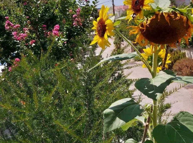 Durda Апартаменты *